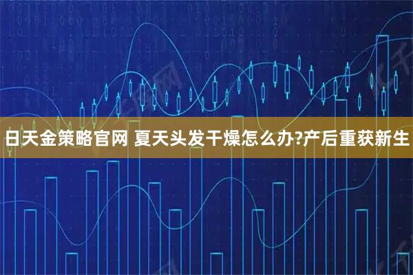 日天金策略官网 夏天头发干燥怎么办?产后重获新生
