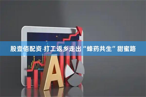 股壹佰配资 打工返乡走出“蜂药共生”甜蜜路